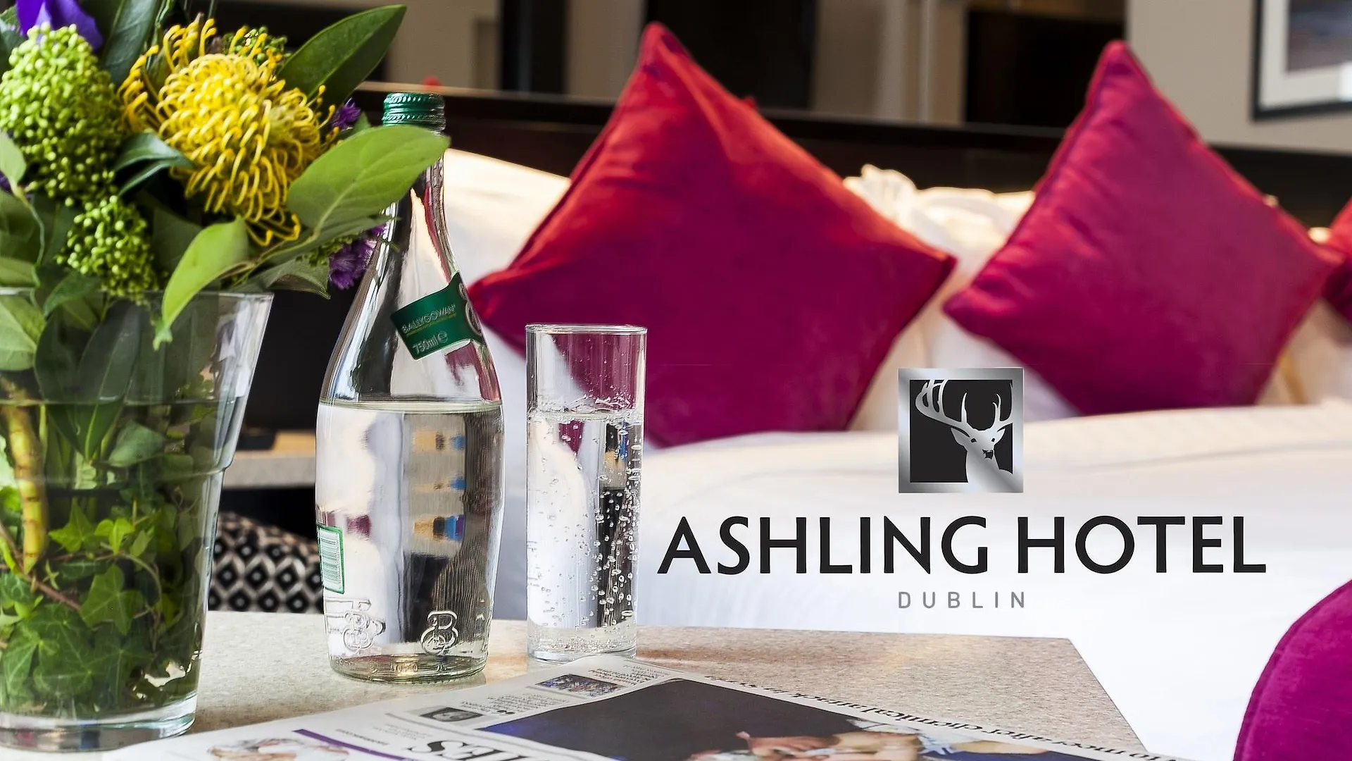 ****  Ashling Hotel Дублин Ирландия